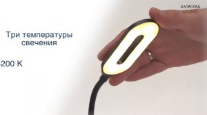 Светильник настольный светодиодный Avrora Light