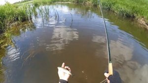 Ловля голавля на жука в начале лета. Рыбалка нахлыстом на малой реке. Fly fishing for chub.