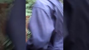 ЖЕНЬШЕНЬ в приморском крае чугуевском районе