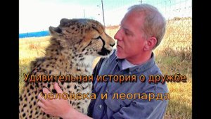 Интересные истории и факты про животных.