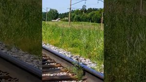 Нижняя Пойма