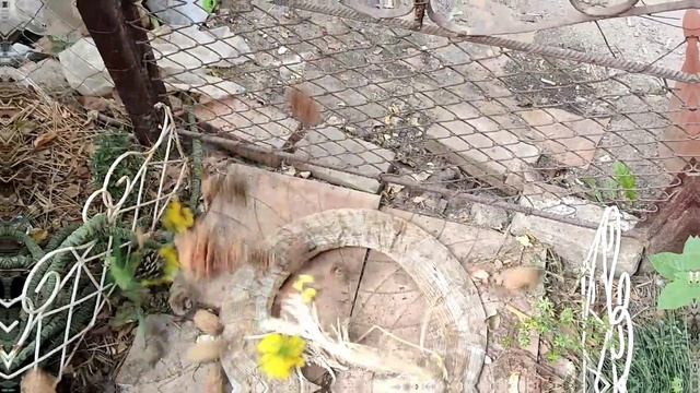 Осенний венок из мусора, фантазии и бессонницы смотреть онлайн