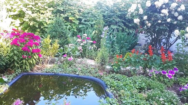 ЦВЕТНИК на ДАЧЕ в первые дни ЛЕТА * Дача Своими Руками смотреть онлайн