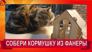 КОРМУШКА ДЛЯ ПТИЦ -  конструктор сделай сам из фанеры