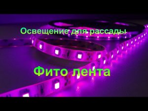 Бюджетная фитолампа для рассады табака