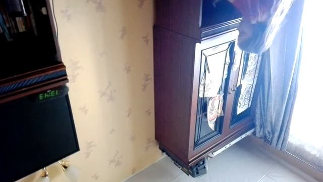 Делаю дом для кошек смотреть онлайн