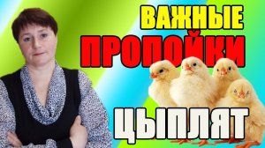 ВАЖНЫЕ ПРОПОЙКИ цыплят с первых дней жизни.