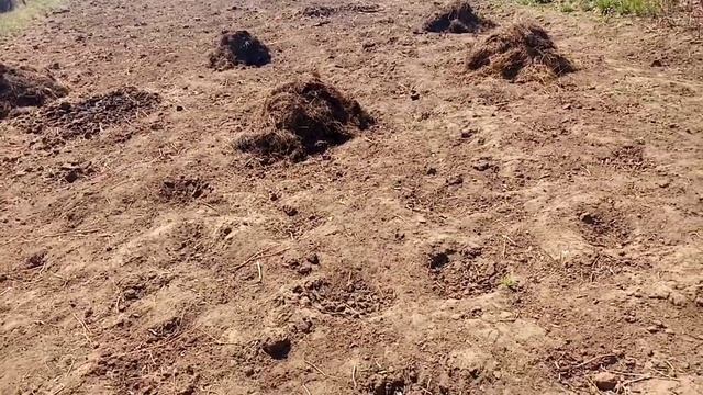 Делаем стеллаж/работаем в огороде/Рома заболел/нашли ежа/Дизайнерский шкаф смотреть онлайн