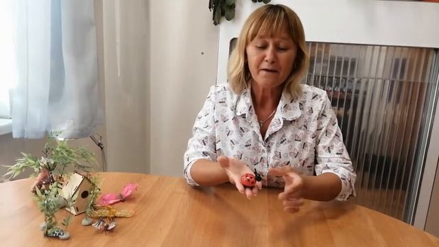 Познавательная программа День полёта божьей коровки