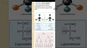 Carbohydrate