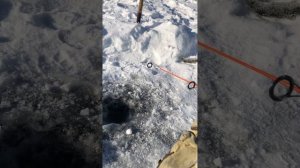 Первый омуль. Клёвая рыбалка на омуля. Ждём продолжения. Часть 3. 18.03.2023.