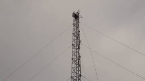 Установка на сотовую  вышку антен и  оборудования