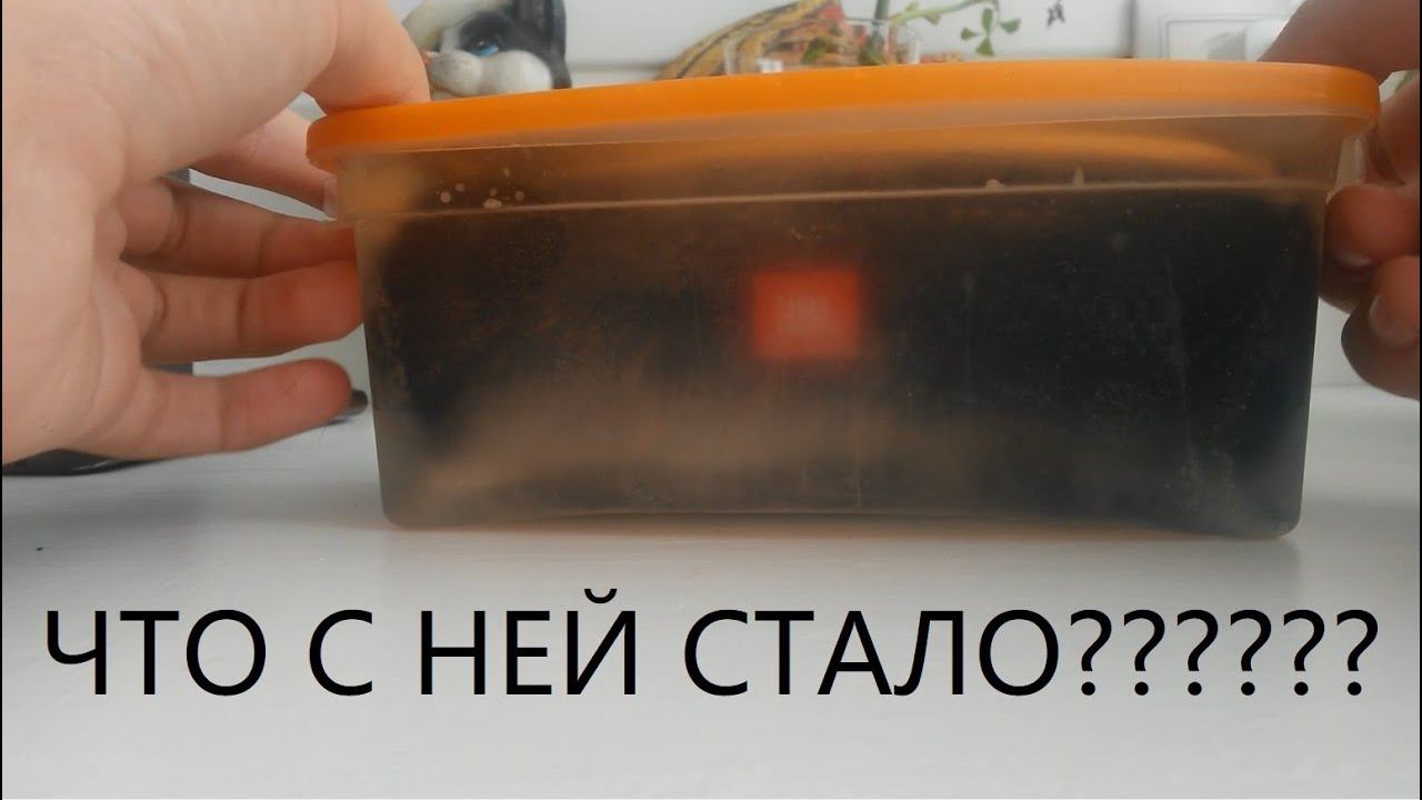 Заморозка колонки JBL Flip 5 GG версии в лёд