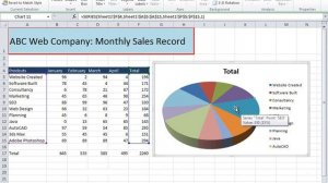 012  Pie Charts in Excel 2010 Urdu   Hindi