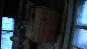 содержание попугаев в вольерах