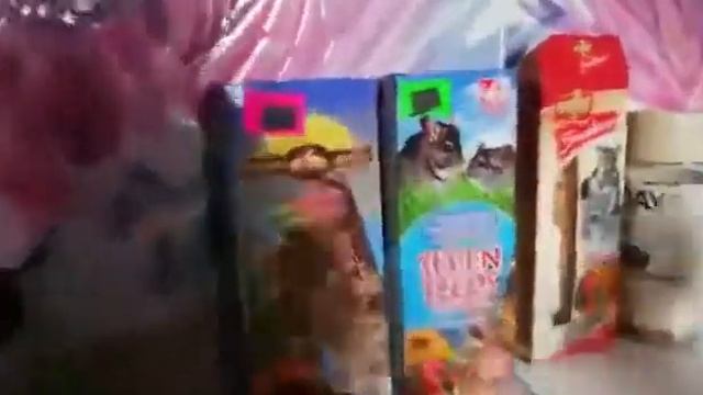 Кормление и содержания шиншилл// #вкусняшки для шиншилл смотреть онлайн