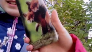 гуляем чек около дома 1 часть