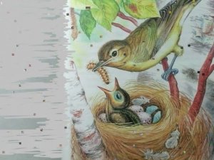 Виталий Бианки - Подкидыш.