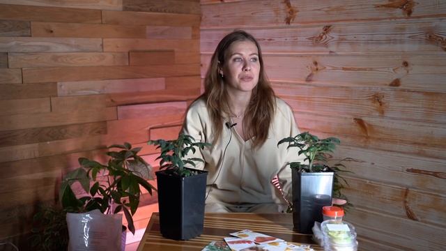 Какие лучшие сорта и гибриды томатов / помидор выбрать в 2021. Отзывы с фото от Нетипичного фермера