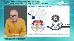 Молекулярно биологические основы противовирусной защиты в период пандемии COVID 19