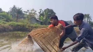 Fishing Video 2024 || polo fishing video || village polo fishing video || bd fish video creator