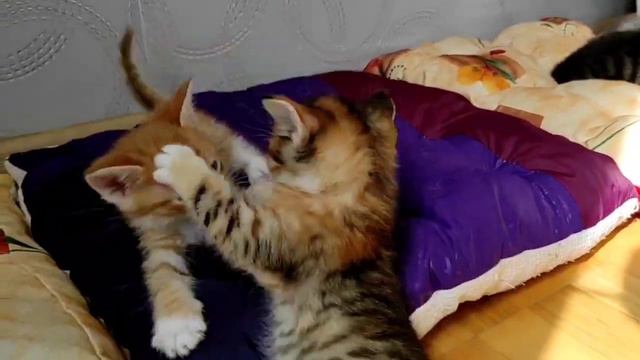 Обед смотреть онлайн