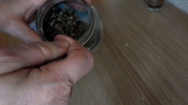 всё в кучу/ ПОЗДРАВЛЕНИЕ, КОШАКИ И ЦЕОЛИТ