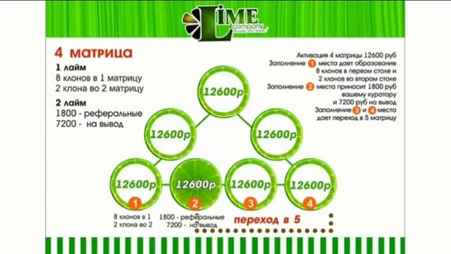 Обзор Маркетинга? LIME Company
