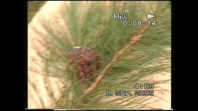 Рыбалка на реке БИРЮСА смотреть онлайн