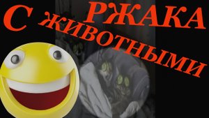 9минут смеха смешные ситуации с животными и их хозяевами.mp4