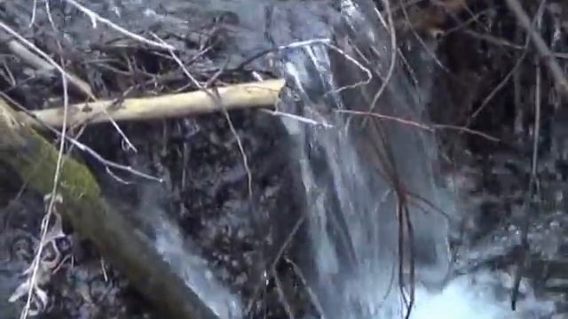 ДУХ СВОБОДЫ – SPIRIT of FREEDOM Музыка: Индейская песня Пять Духов смотреть онлайн