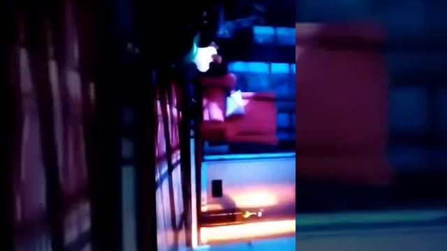 Тайна животных смотреть онлайн