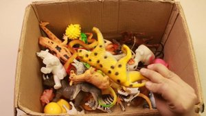 Learn Zoo Wild Animal Names And Sea Animal Names for Kids Tiger Lion Shrek Horse - Mango Toys