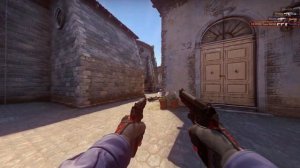 CS:GO | Dual Berettas - Panther