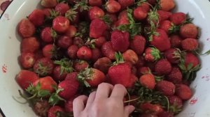 СУПЕР СРЕДСТВО ДЛЯ СПАСЕНИЯ УРОЖАЯ КЛУБНИКИ/ Это ПОВЫСИТ УРОЖАЙ КЛУБНИКИ и СПАСЕТ ЕЕ. Рецепт БОМБА
