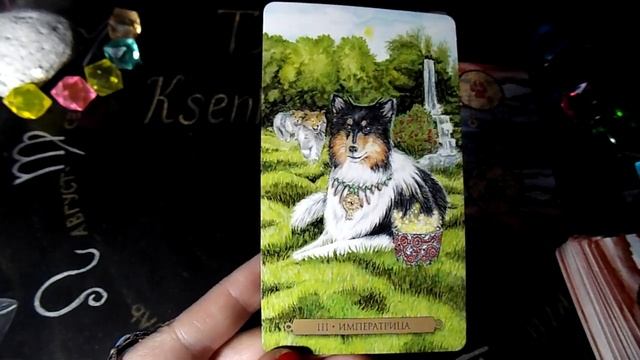 Гадание на 31 января 2022 года. Карта дня. Таро Магических собак. смотреть онлайн