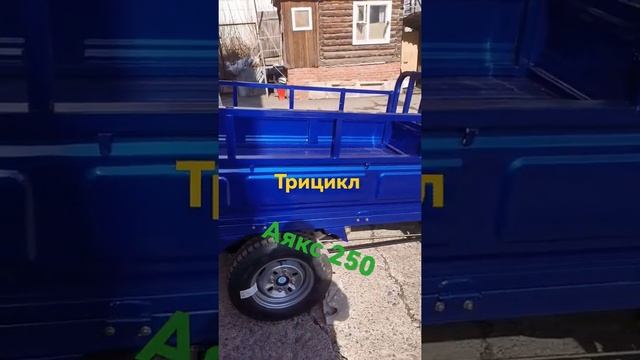 Трицикл АЯКС 250