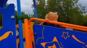 ДЕТИ НЕ ПОДЕЛИЛИ ИГРУШКИ  Эльвира и братик делят КОЛЯСКУ ДЛЯ КУКЛЫ сборник видео