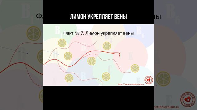 Лимон укрепляет вены #сердечнососудистаясистема #лимон