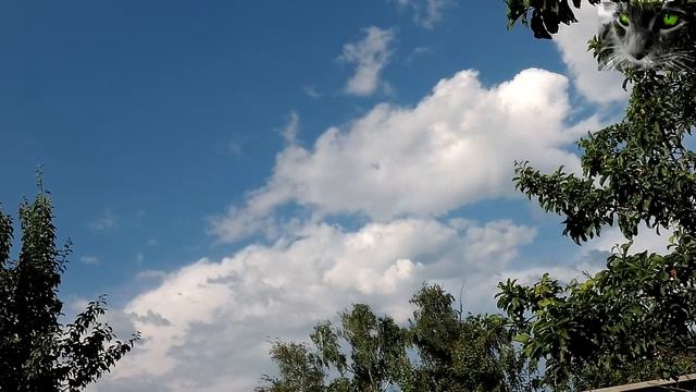 Народный праздник «Знамения Тимофея». 23 июня. Что можно и что нельзя делать.