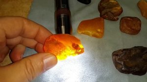 Почему ЯНТАРЬ (amber) признали ДРАГОЦЕННЫМ КАМНЕМ 1 порядка