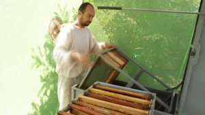ЛЕПИЛЫ. Передвижной мини цех по откачке мёда