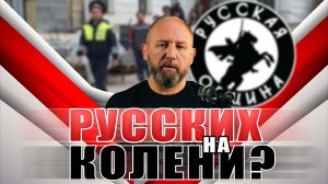 НОВОСТИ РУССКОЙ ОБЩИНЫ [31 ВЫПУСК] #русскаяобщина #важное #новости #мигранты #русские #дружина