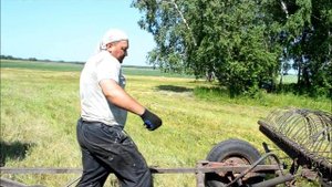 Поперечные ГРАБЛИ В РАБОТЕ