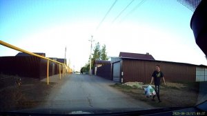 Как собаки попадают под колеса How dogs get hit by wheels