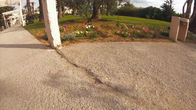 Обратная сторона Caribbean World Monastir смотреть онлайн