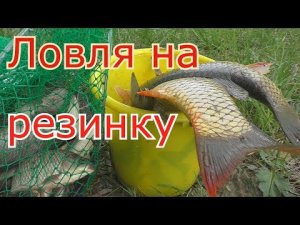 Рыбалка на РЕЗИНКУ и ловля карпов на закидушку Часть 1