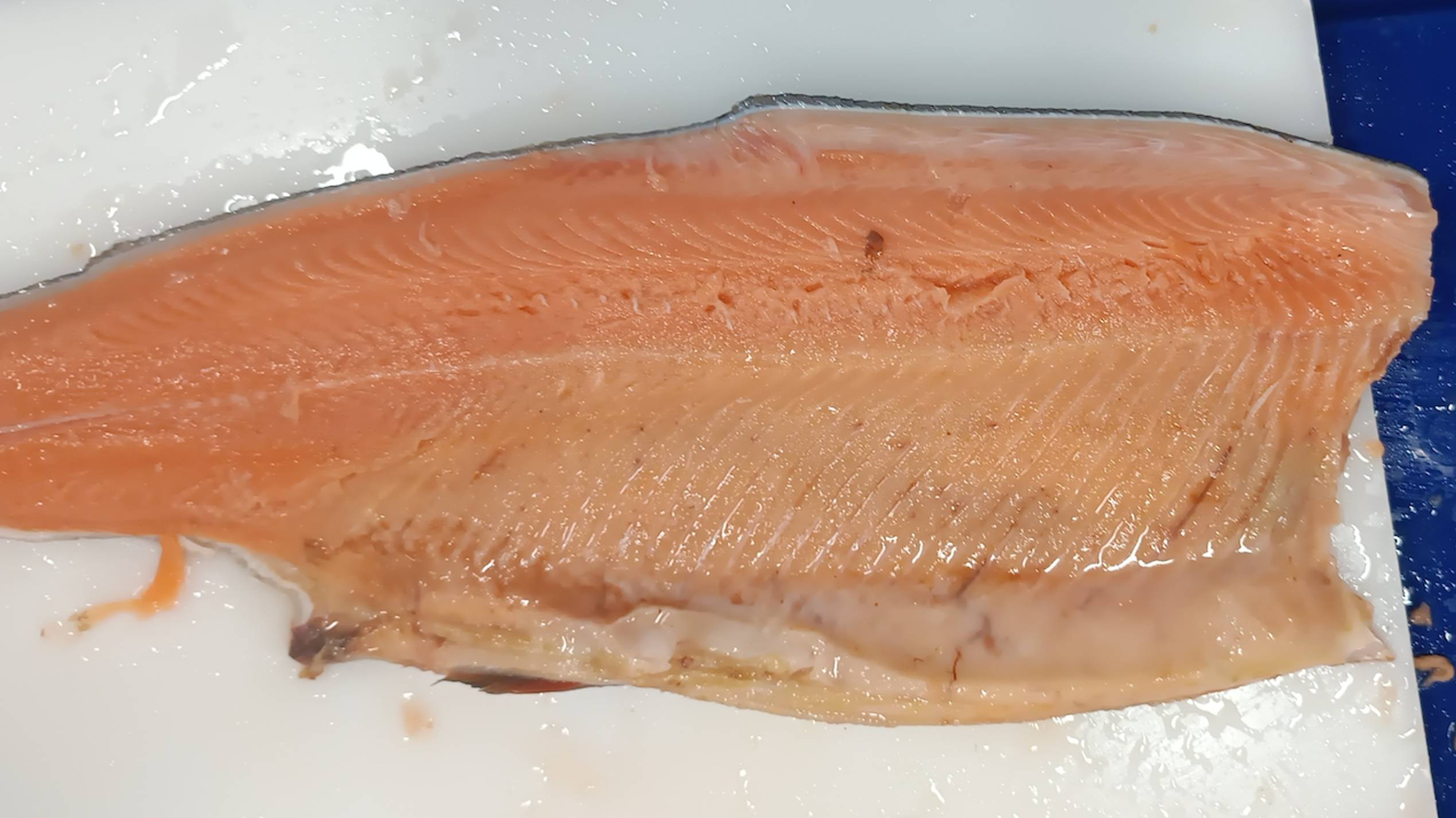 Филетировочная машина для лососевых пород (красной рыбы) CHSF 2 Ю. Корея. Выход филе до 86% от ПБГ.