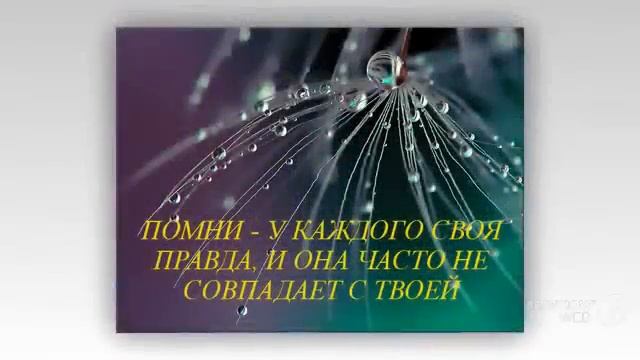 Мудрые слова о жизни. Мудрые изречения о жизни. Инструкция к жизни смотреть онлайн