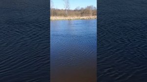 Искусственная приманка "Утка"